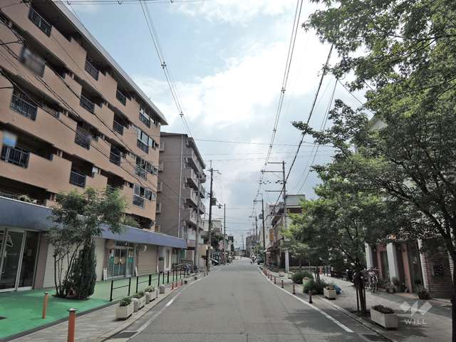 敷地の前面道路（西側から）