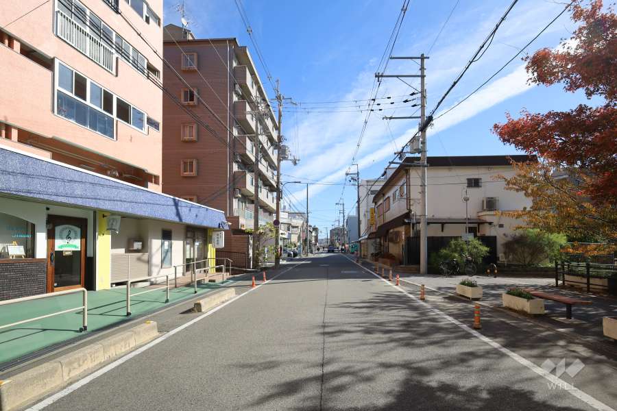 敷地南側の前面道路（西側から）