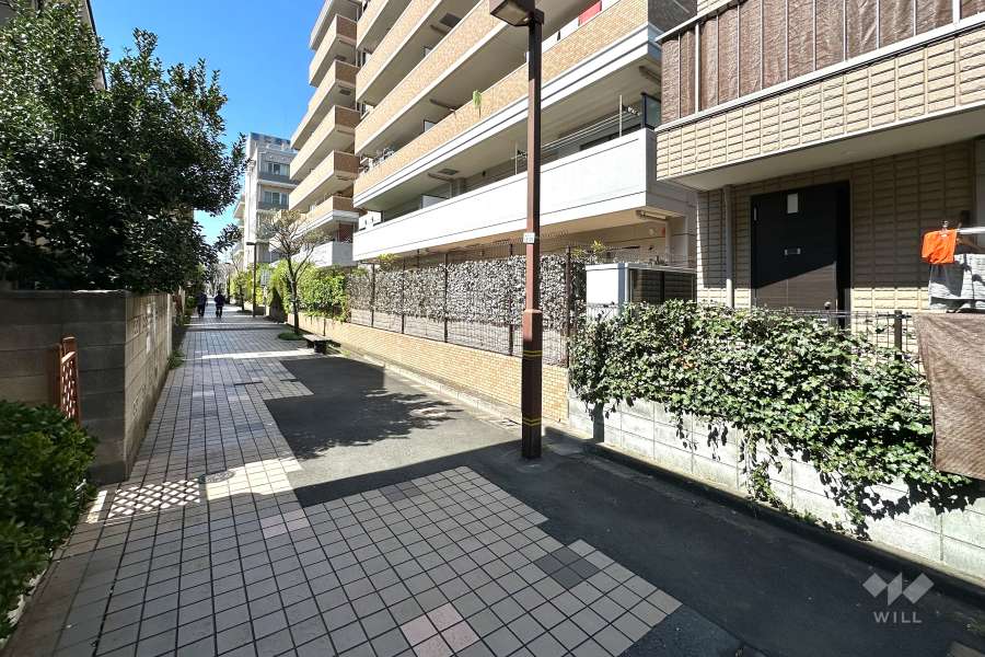 敷地の南西側前面道路（南東側から）