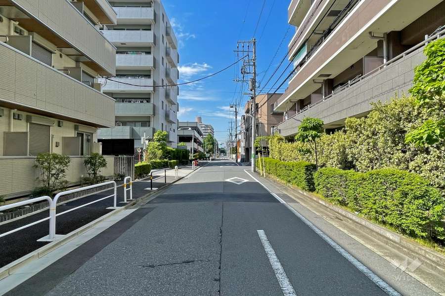 敷地の西側前面道路（南側から）