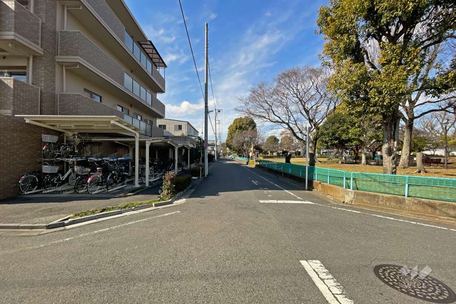 敷地の東側道路（南側から）
