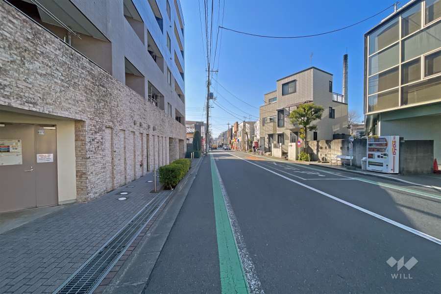 敷地の南側前面道路（西側から）