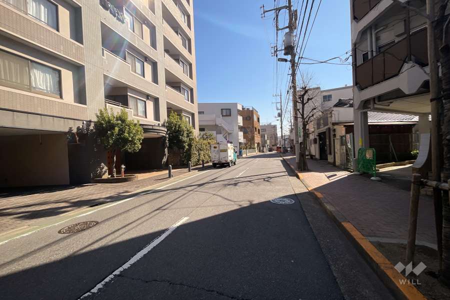 敷地南側の前面道路（西側から）