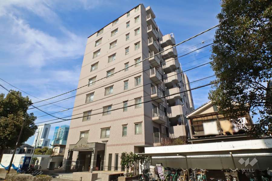 アーバンキャッスル梅島の外観（南東側から）