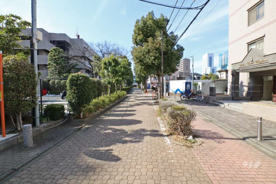 敷地南側の前面道路（東側から）