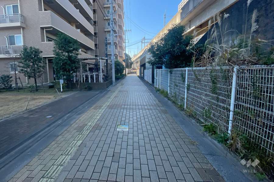 敷地の西側前面道路（北側から）