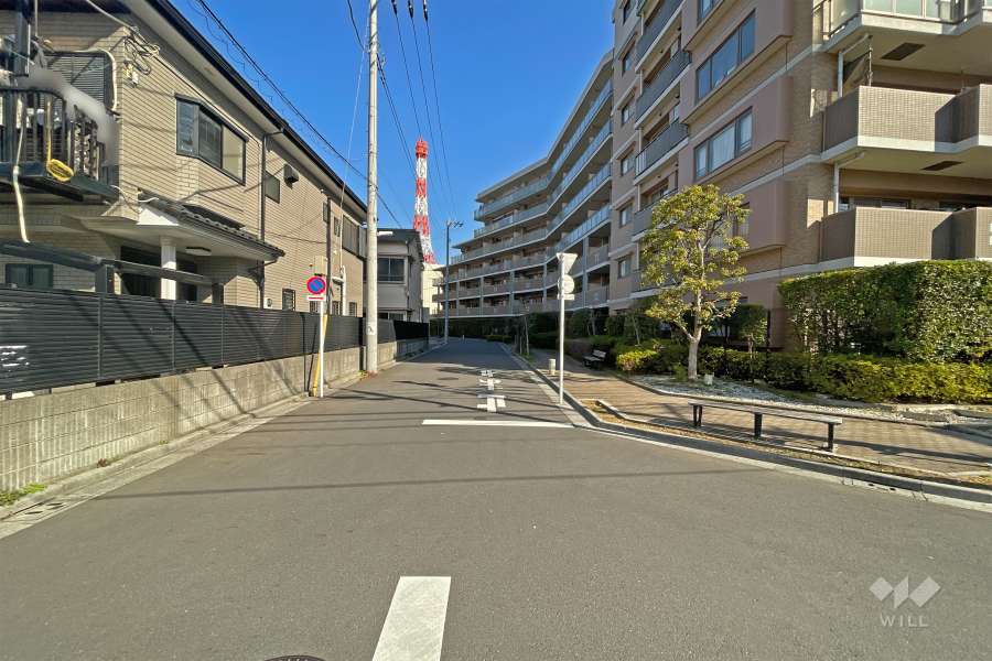 敷地の西側前面道路（南側から）