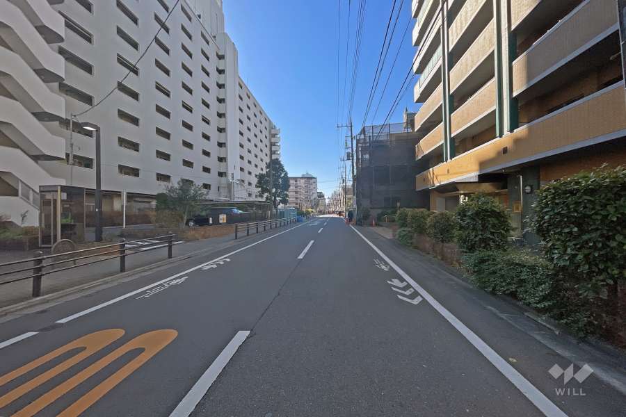 敷地の南側前面道路（東側から）