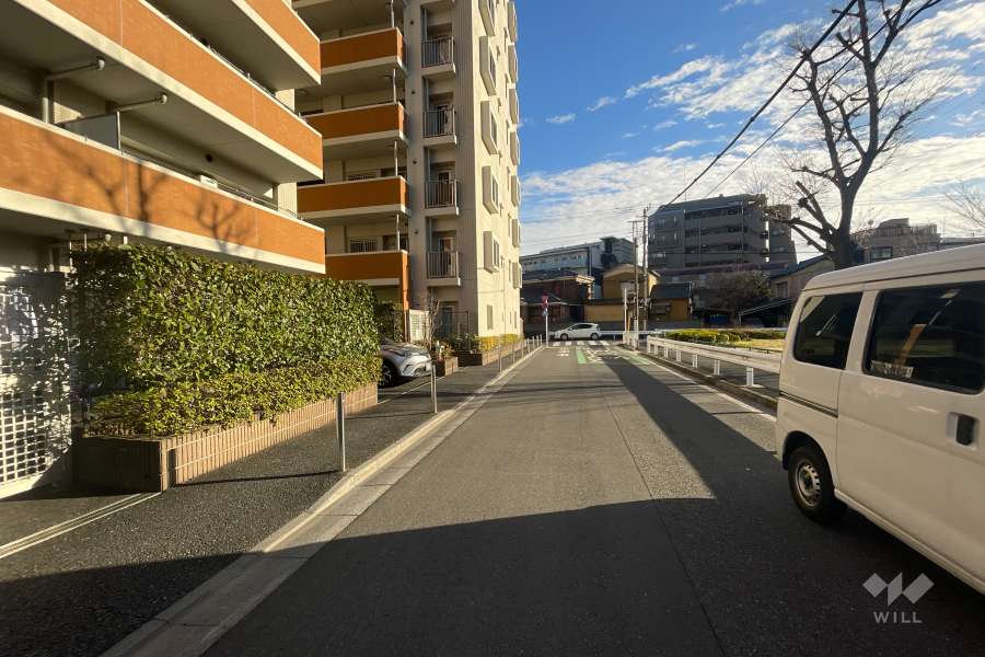 敷地の西側前面道路（北側から）