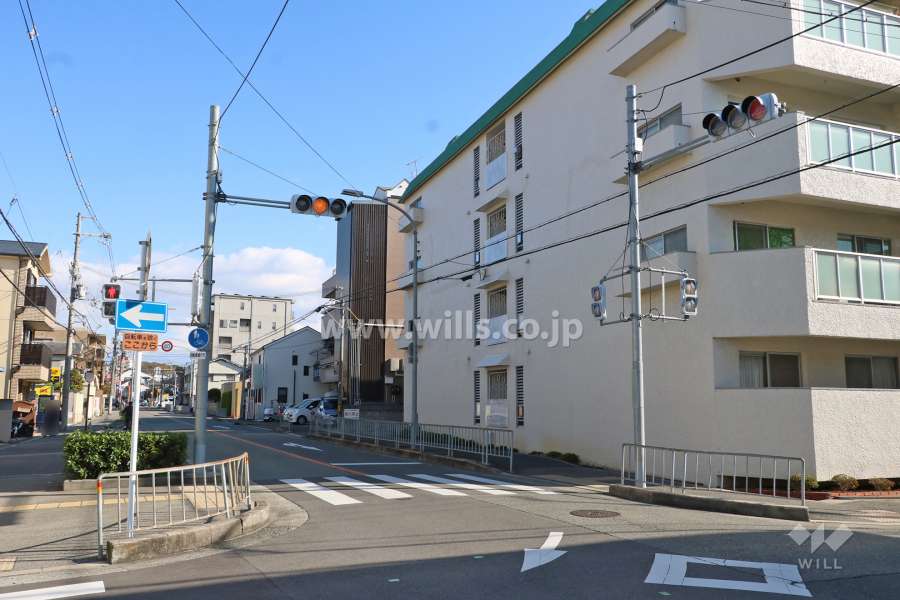 敷地北側の前面道路（西側から）