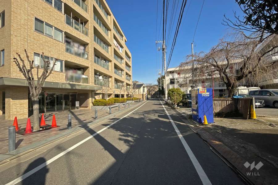 敷地南側の前面道路（西側から）