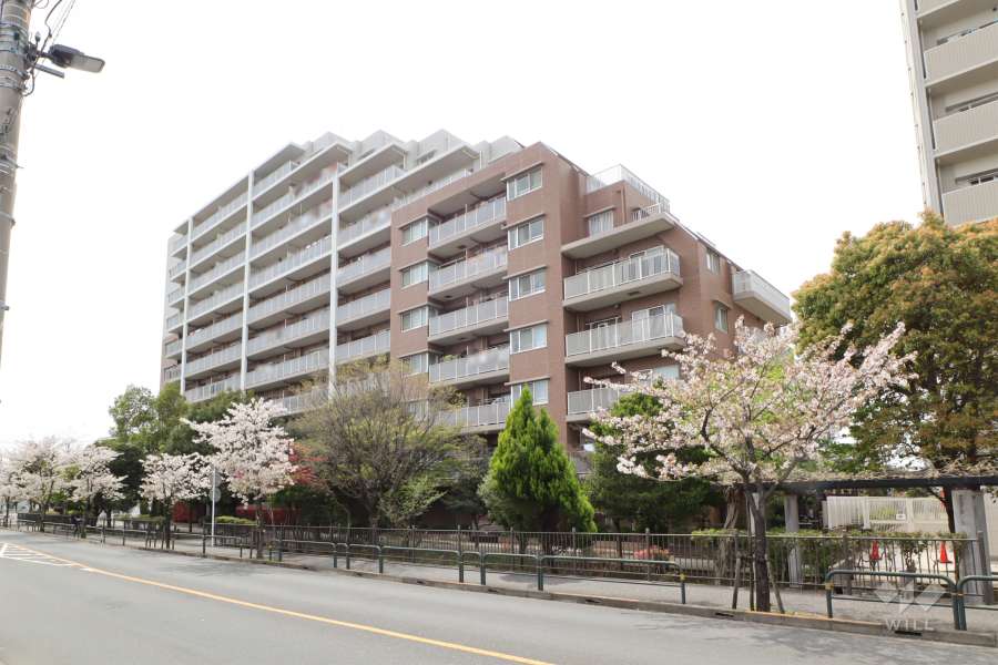 グランスイート綾瀬桜木橋の外観（北東側から）