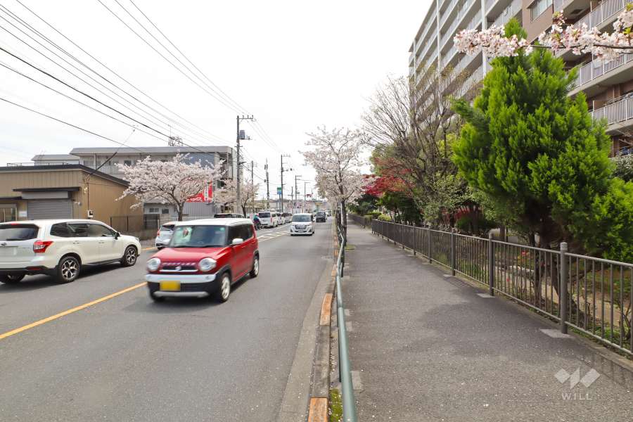 敷地東側の前面道路