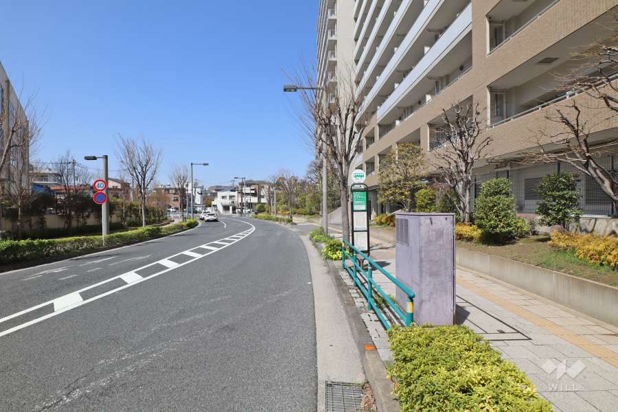 敷地南西側の前面道路（南東側から）