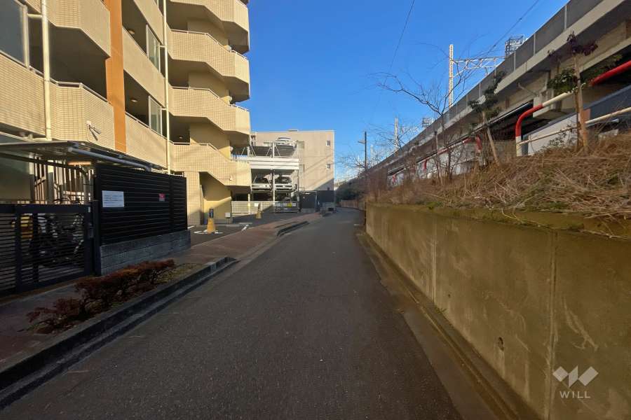 敷地南側の前面道路（西側から）