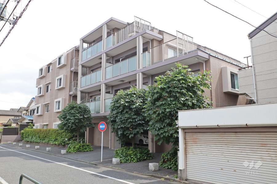 グローベルザプレイス舎人親水公園の外観（北東側から）