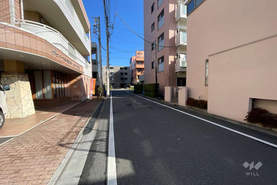 敷地西側の前面道路（南側から）