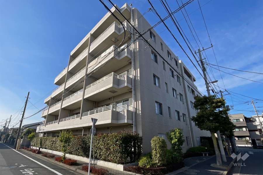 ダイアパレス六町の外観（南東側から）