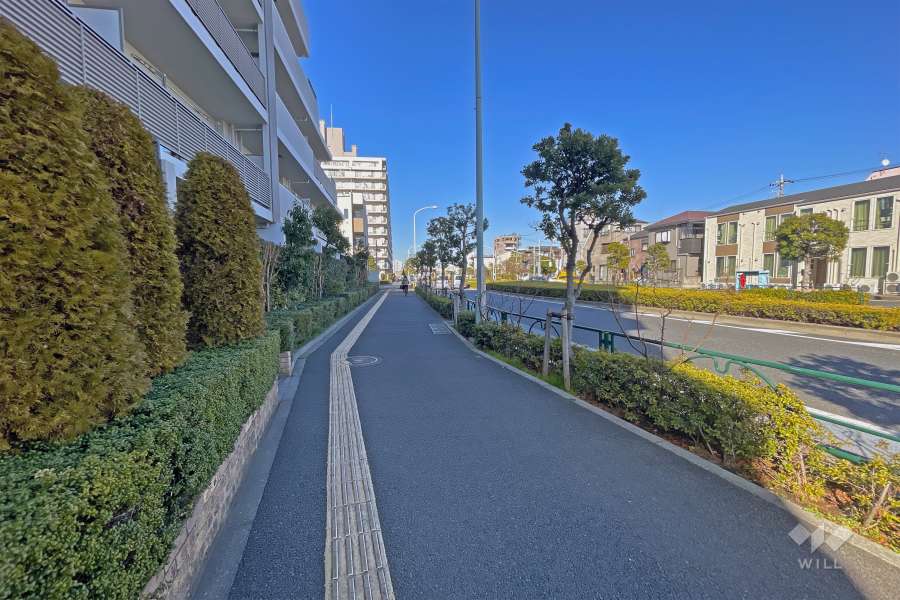 敷地の東側道路（南側から）