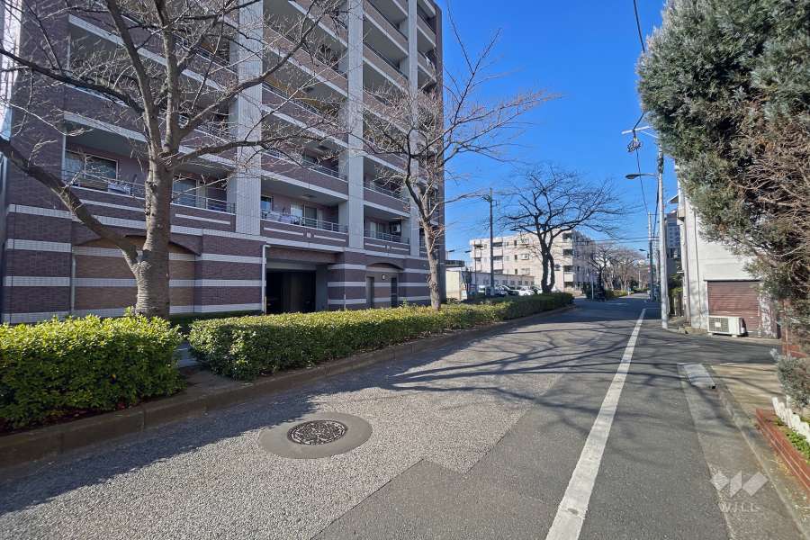 敷地東側前面道路（南側から）