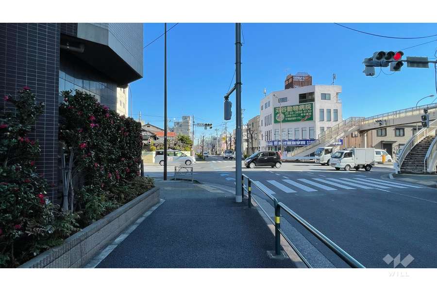 敷地の南側前面道路（西側から）