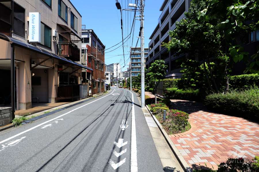 敷地の西側前面道路（南側から）