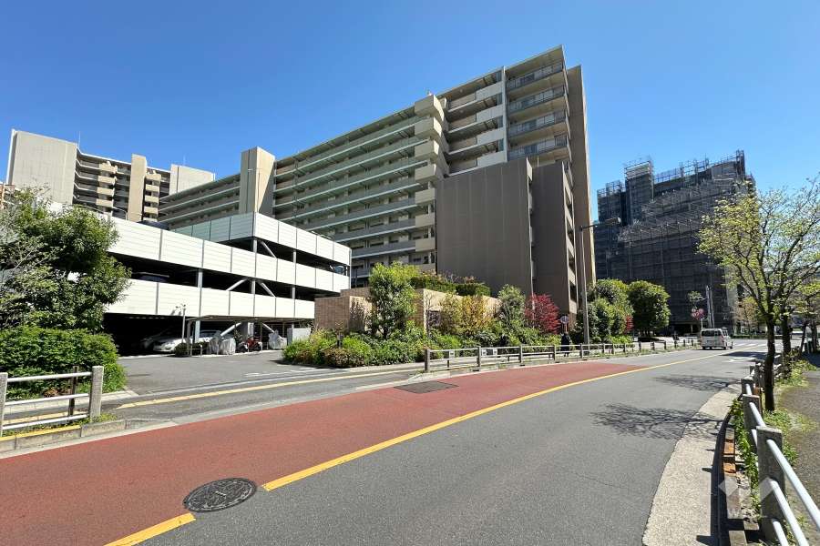 敷地の西側前面道路（北側から）