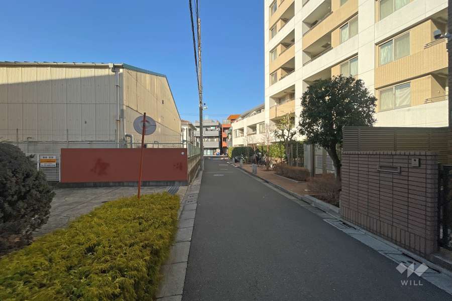 敷地西側の前面道路（南側から）