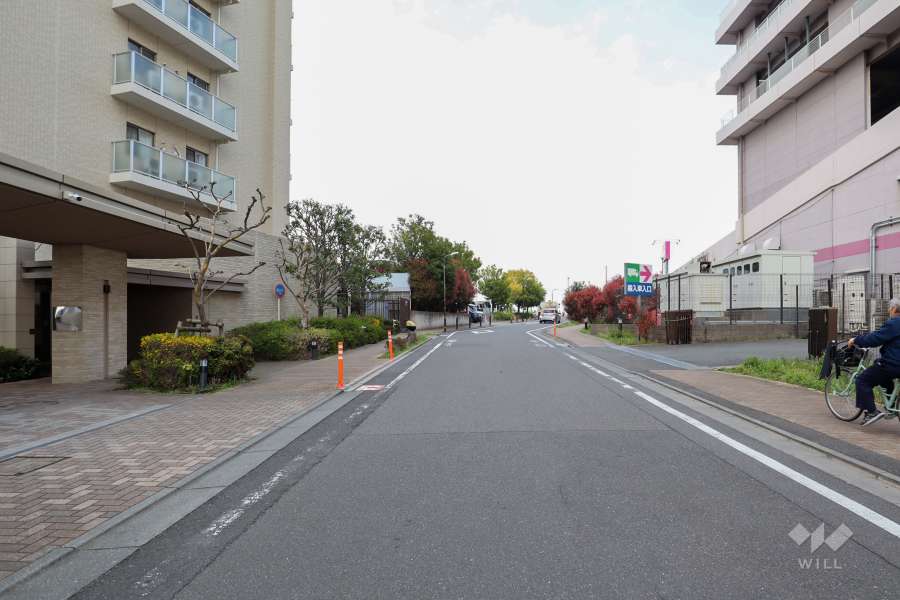 敷地東側の前面道路（南側から）