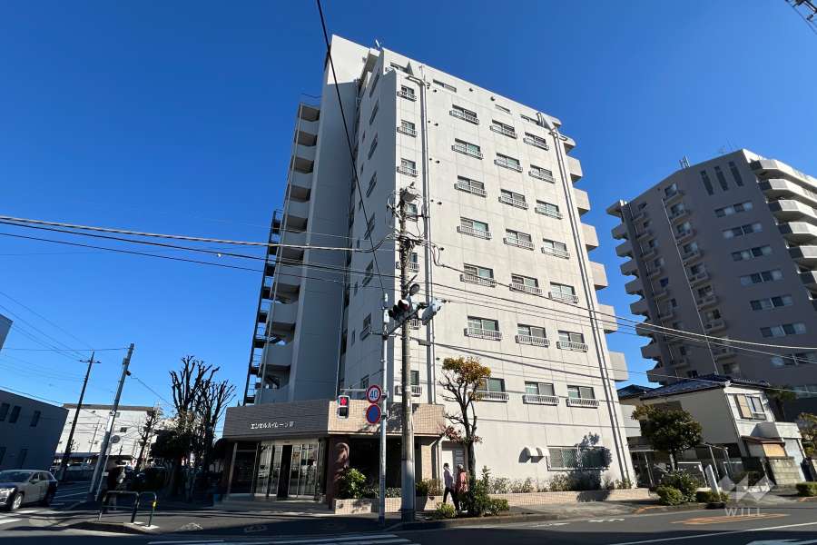 エンゼルハイムーツ家の外観（西側から）