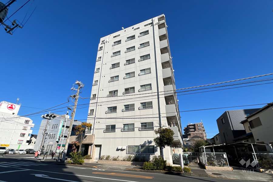 エンゼルハイムーツ家の外観（南西側から）