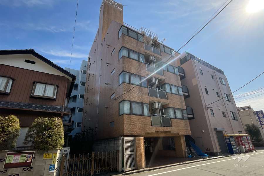 ダイアパレス竹ノ塚の外観（北西側から）