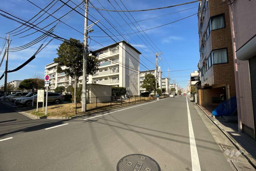敷地西側の前面道路（南側から）