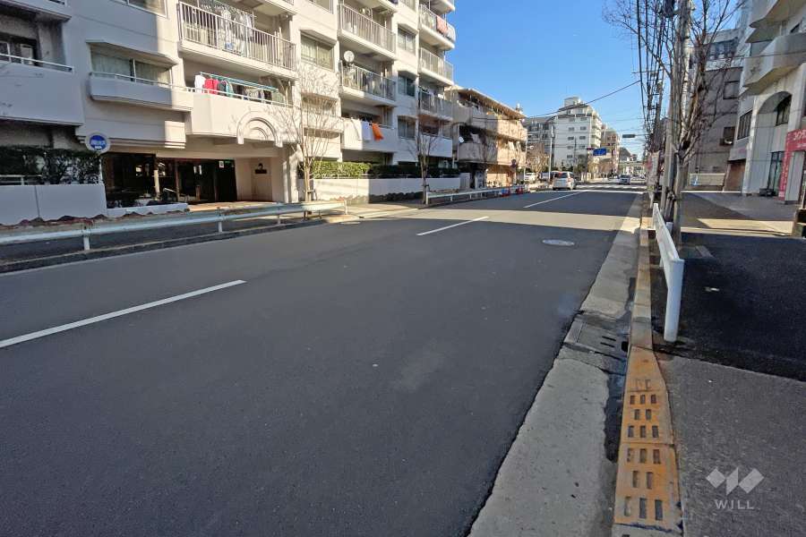 敷地南側の前面道路（西側から）