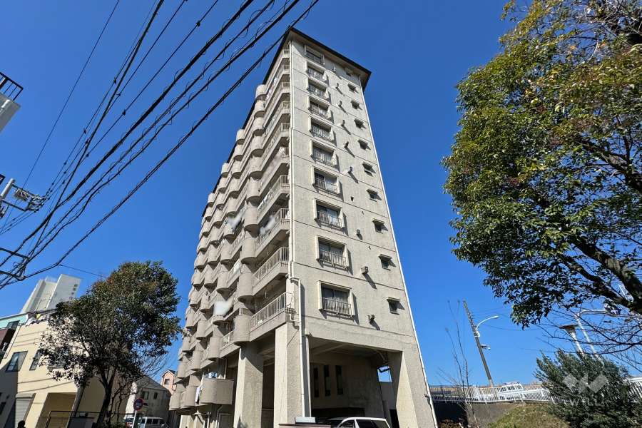 リバーパーク桜木の外観（南東側から）