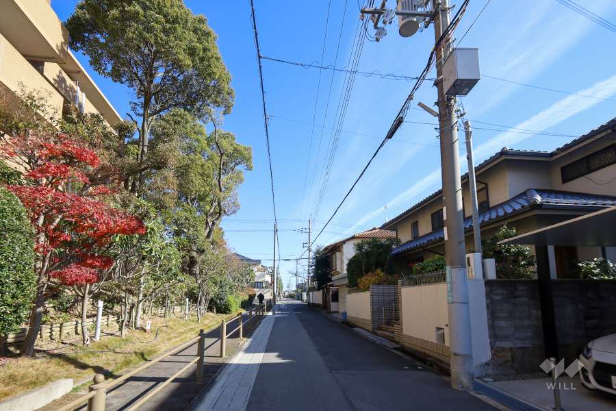 敷地南側の前面道路（西側より）