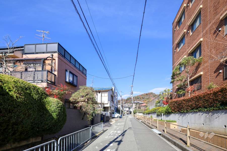 敷地西側の前面道路（南側より）