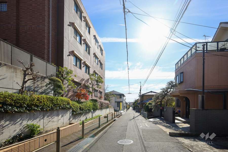 敷地西側の前面道路（北側より）