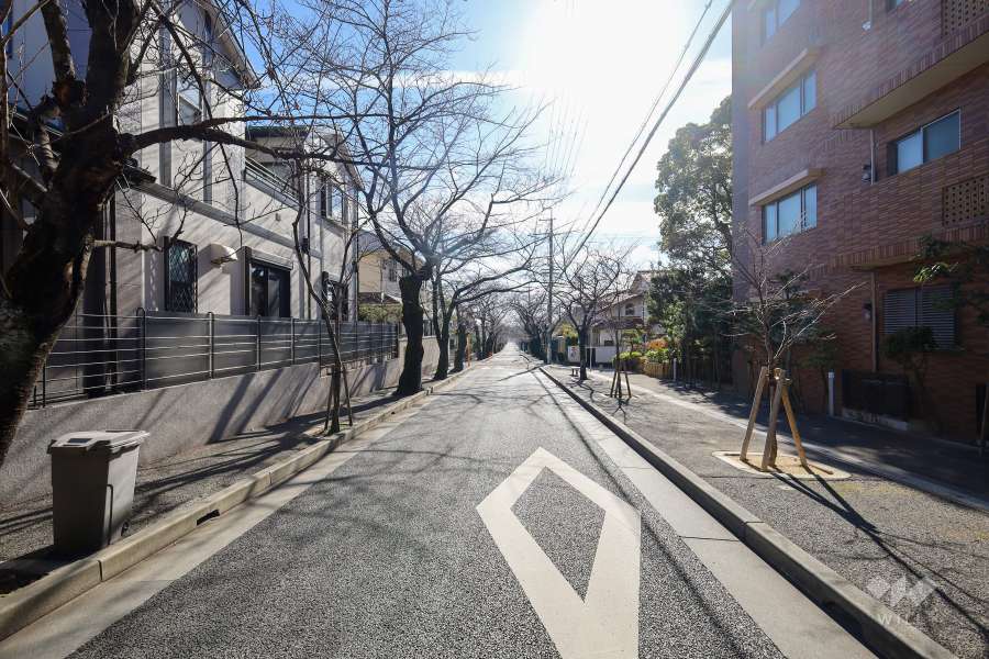 敷地東側の前面道路（北側より）