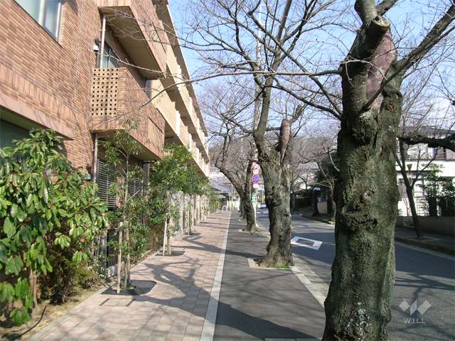 敷地の東側は『箕面桜通り』