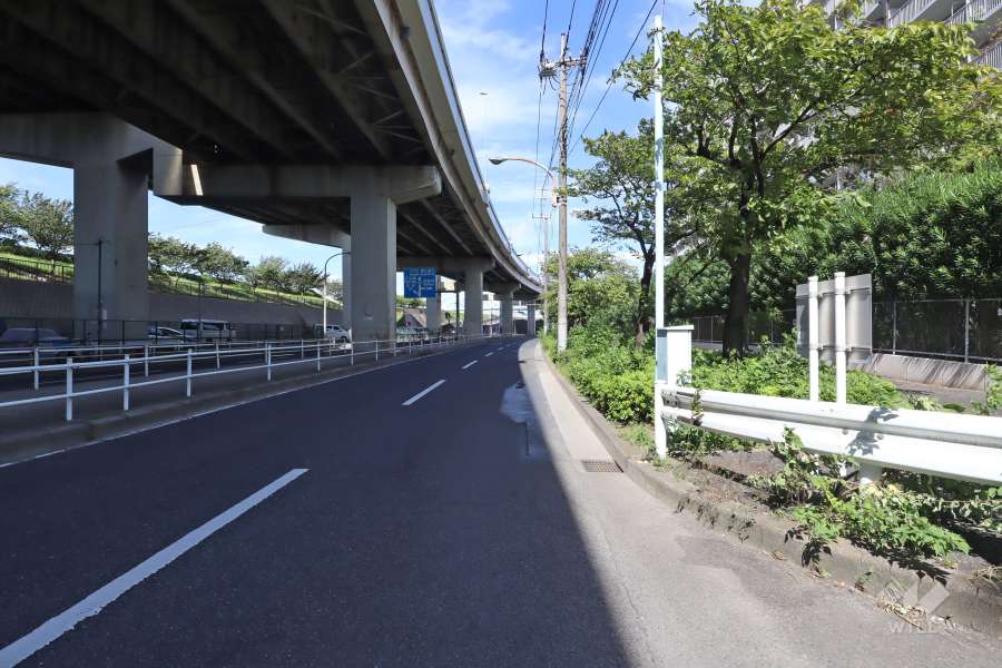 敷地南西側の前面道路（南東側から）