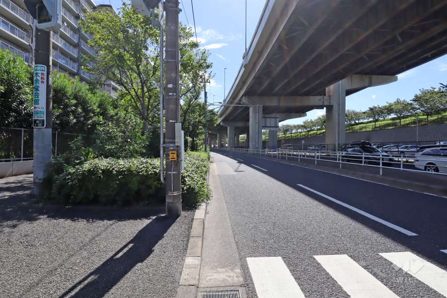 敷地南西側の前面道路（北西側から）