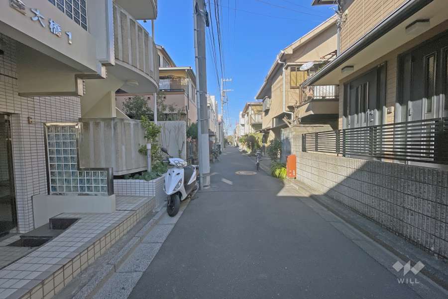 敷地の南側前面道路（西側から）