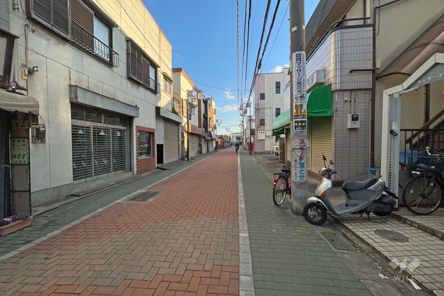 敷地東側の前面道路（北側から）