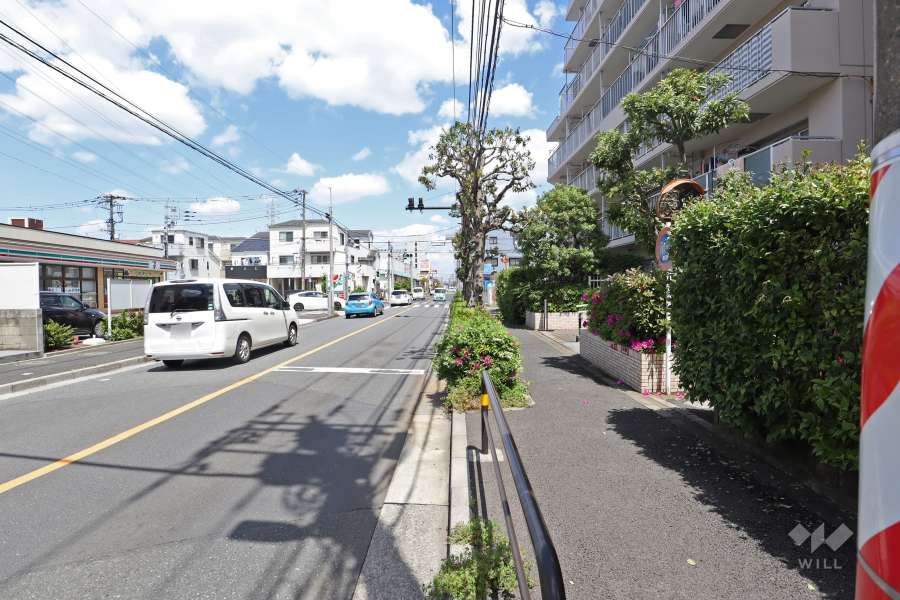 敷地西側の前面道路（南側から）