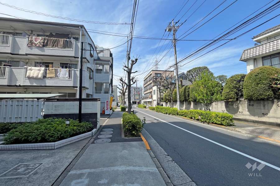 敷地北側の前面道路(東側から)