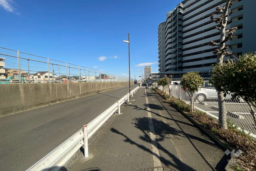 敷地北側の前面道路（西側から）