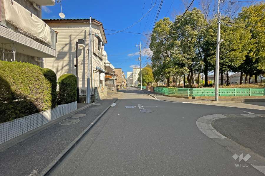 敷地の南側前面道路（西側から）
