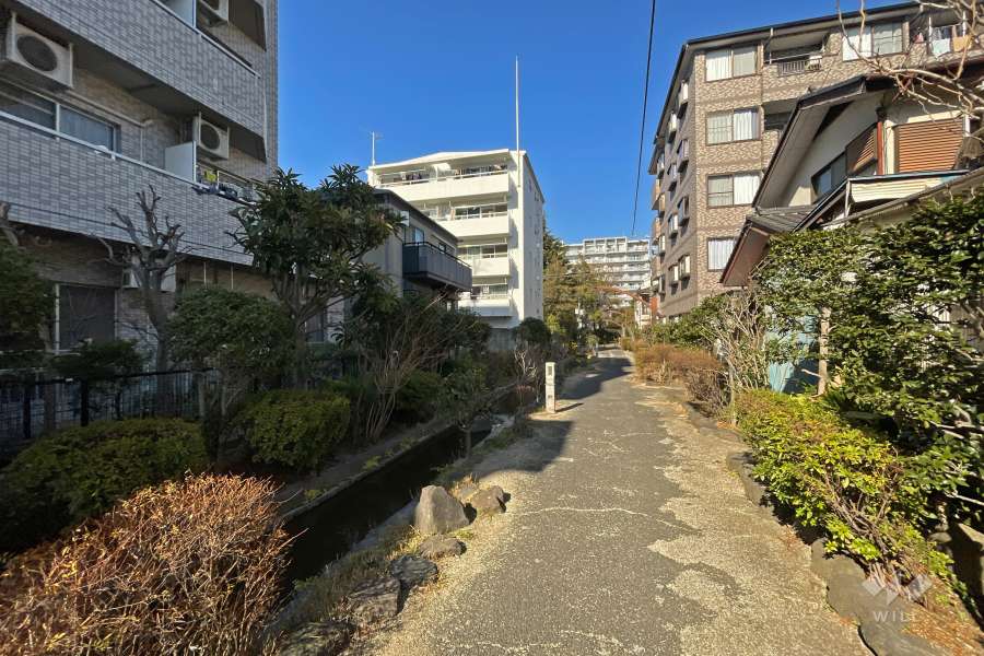 敷地東側の前面道路（南側から）