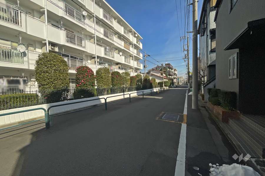 敷地南側の前面道路（西側から）